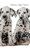 Dalmatian August Notebook Dalmatian Record, Log, Diary, Special Memories, To Do List, Academic Notepad, Scrapbook & More