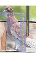 Spinner Magazine Worldwide Vol 4