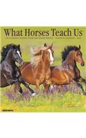 What Horses Teach Us 2020 Wall Calendar