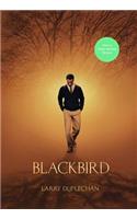 Blackbird