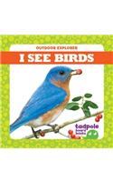 I See Birds