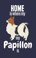 Home is where my Papillon is: For Papillon Dog Fans