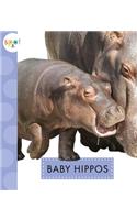 Baby Hippos