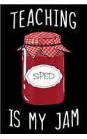 Teaching Is My Jam: Teaching Is My Jam - SPED Teacher Journal/Notebook Blank Lined Ruled 6x9 100 Pages