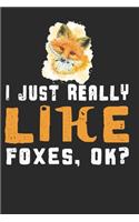 I just Really Like Foxes, Ok?