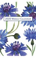 2020 Weekly Calendar: Watercolor Blue Carnations