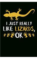 I Just Really Like Lizards, Ok