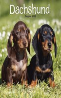 Dachshund Puppies Mini Square Wall Calendar 2023