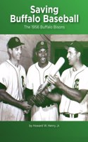Saving Buffalo Baseball