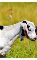 Notebook Goat Keeping in the Meadows