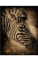 Wild Zebra Notebook: 8.5 X 11 202 College Ruled Pages