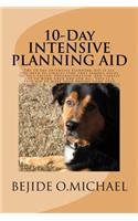 10-Day INTENSIVE PLANNING AID: The Intensive Planning Aid is all you need to finally stop that famous delay tactics called 'procrastination' and finally get to work once and for a