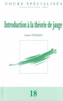 Introduction a la theorie de jauge