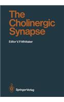 The Cholinergic Synapse: (86 Handbook of Experimental Pharmacology)