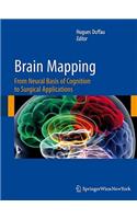 Brain Mapping