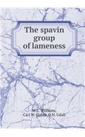The Spavin Group of Lameness