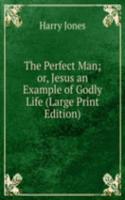 Perfect Man; or, Jesus an Example of Godly Life (Large Print Edition)