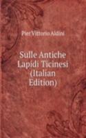 Sulle Antiche Lapidi Ticinesi (Italian Edition)