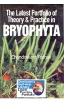 The Latest Portfolio of Theory and Practice in Pteridophyta