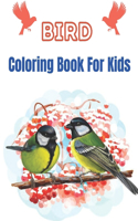 Bird Coloring Book For Kids