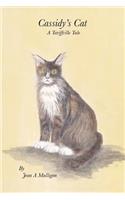 Cassidy's Cat