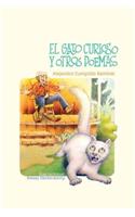 El Gato Curioso