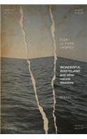 Wonderful Wasteland and other natural disasters