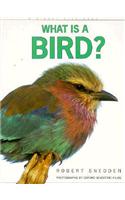 What Is a Bird?