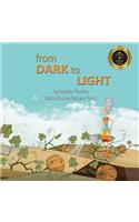 From Dark to Light