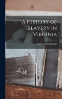 History of Slavery in Virginia