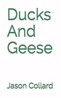 Ducks And Geese
