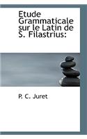 Etude Grammaticale Sur Le Latin de S. Filastrius