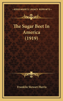 Sugar Beet In America (1919)