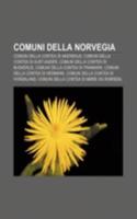 Comuni Della Norvegia