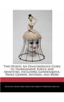 Two Spirits: An Unauthorized Guide to Transgender Topics and Identities, Including Genderqueer, Third Gender, Intersex, and More(English)