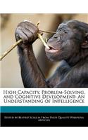 High Capacity, Problem-Solving, and Cognitive Development: An Understanding of Intelligence