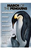 March of the Penguins