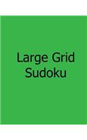 Large Grid Sudoku