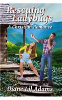 Rescuing Ladybugs: A Christian Romance