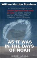 As It Was In The Days Of Noah