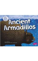 Ancient Armadillos