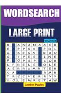 Word Search Large Print - Volume 3