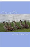 Amusing to Observe: (English)