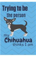 Trying to be the person my Chihuahua Dog thinks I am