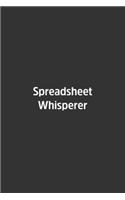 Spreadsheet Whisperer.