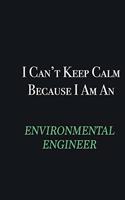 I cant Keep Calm because I am an environmental engineer: Writing careers journals and notebook. A way towards enhancement