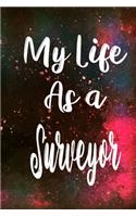 My Life as a Surveyor