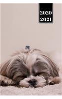 Shih Tzu Dog Calendar Week Planner 2020 / 2021 - Sleeping Napping: Pup Puppy Doggie Pet Owner Weekly Bullet Journal Notebook Diary in 6" x 9" Inch Pocket Size