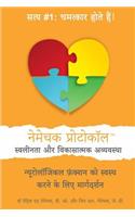 The Nemechek Protocol for Autism and Developmental Disorders (Hindi): A How-To Guide to Restoring Neurological Function