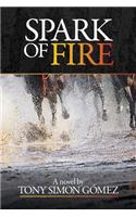 Spark of Fire